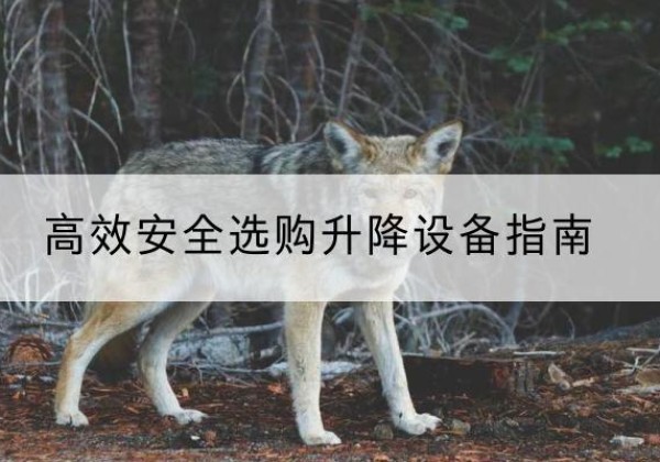 孟州升降货梯厂家推荐-*安全选购升降设备指南