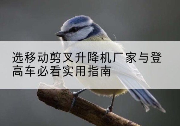 孟州电动升降机厂家-选移动剪叉升降机厂家与登高车必看实用指南
